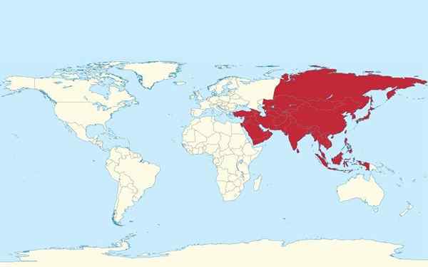 Posizione astronomica dell'Asia