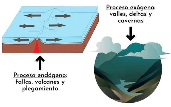 Endogénne procesy