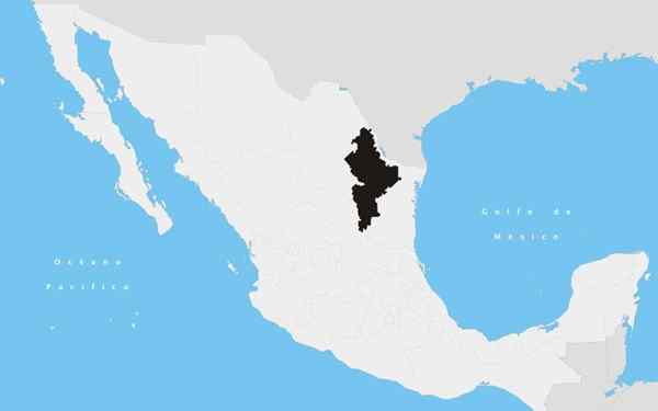 Welche ethnischen Gruppen sind in Nuevo León?