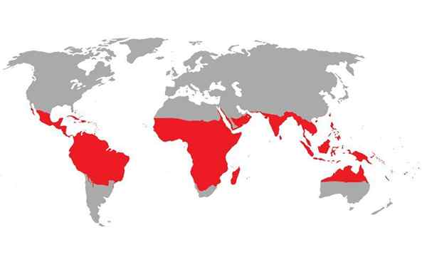 Welche natürlichen Regionen in Indien und Mexiko durchlaufen den Krebs Tropic?