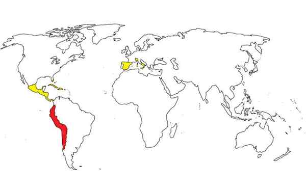 O que significa tahuantinsuyo?