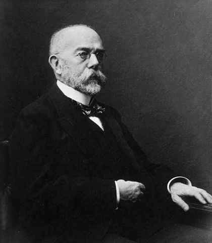 Robert Koch Biographie, Postulate, Beiträge und Entdeckungen