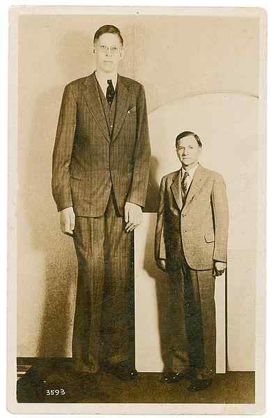 Biographie de Robert Wadlow de l'homme le plus élevé de l'histoire