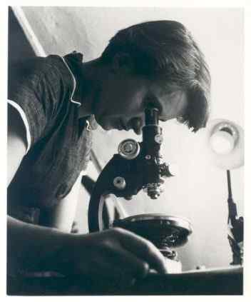 Rosalind Franklin Biografi, Sumbangan, Pengiktirafan, Kerja