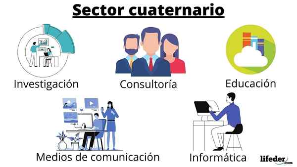 Caractéristiques du secteur quaternaire, activités économiques, exemples