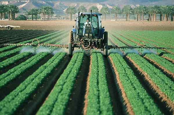 Caratteristiche del settore primario, attività economiche, importanza