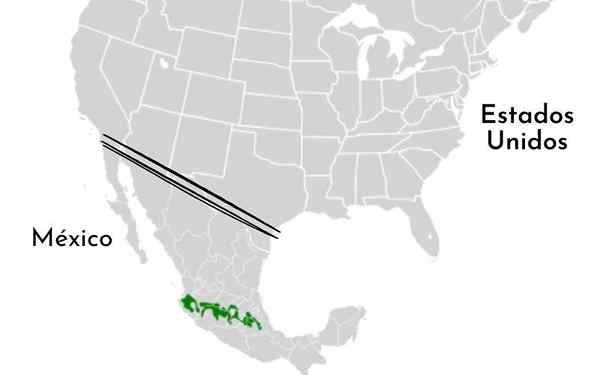 Sistem gunung berapi transversal Mexico