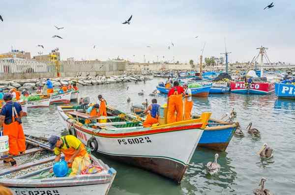 Caractéristiques des technologies agricoles et des pêches, exemples