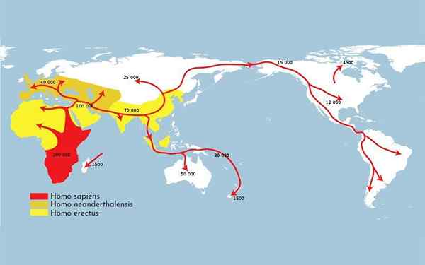 Teori Monogeny tentang Asal Manusia