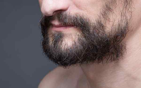 Types de barbe