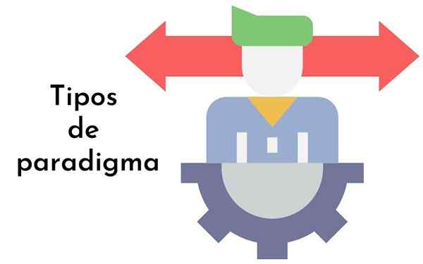 Tipos de paradigma