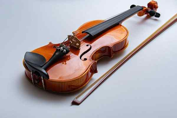 Znani violinisti