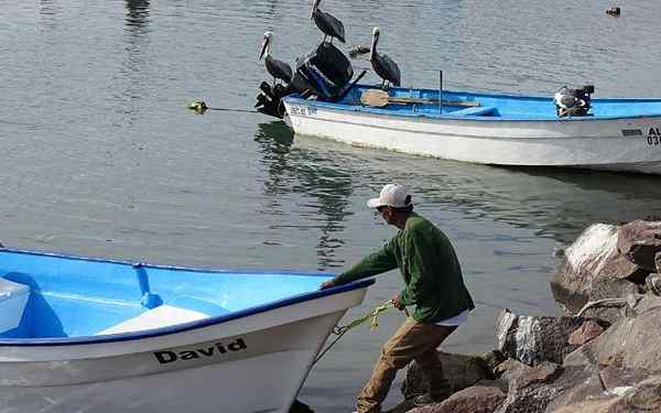 Baja California Surin taloudellinen toiminta