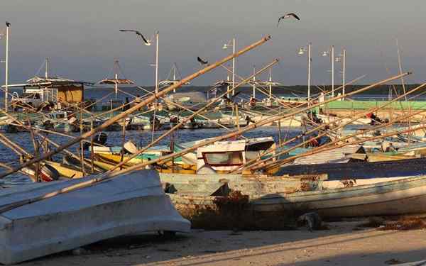 Atividades econômicas do Campeche