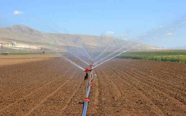 Landwirtschaftliche Gewässer