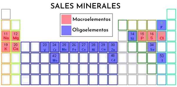 Tertiaire biolementen