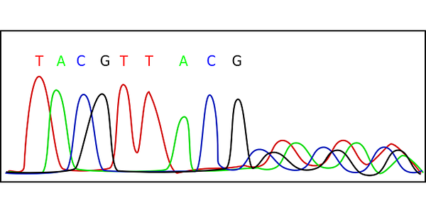 Cromatograma