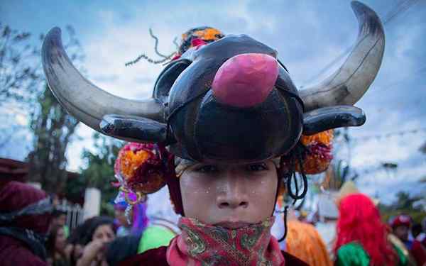 Keragaman Budaya Veracruz