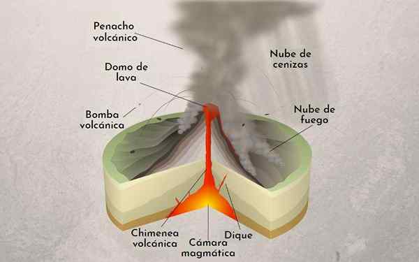 Erupcia peleany