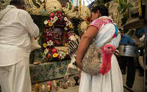 Guerrero etnische groepen