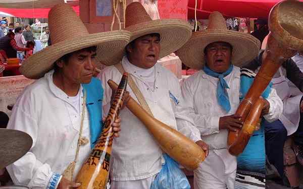 Ethnische Hidalgo -Gruppen