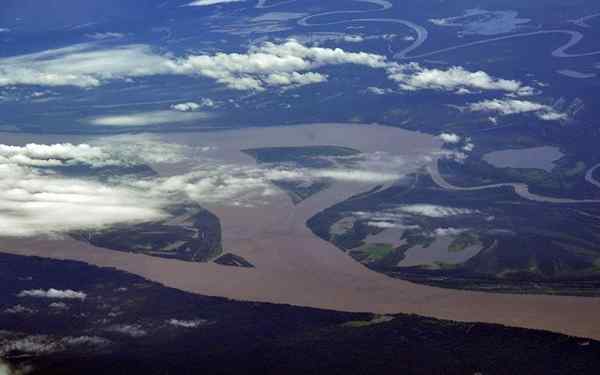 Amazon Plain