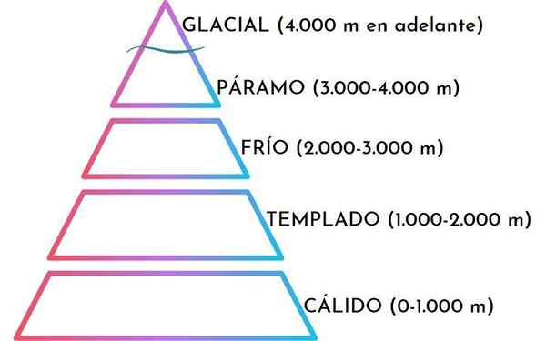 Flat iklim Ecuador