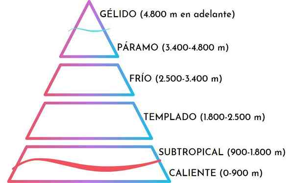 Flat Ekologis Bolivia