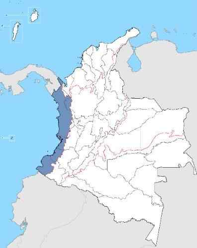 Popolazione della regione pacifica della Colombia