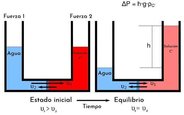 Pressão hidráulica