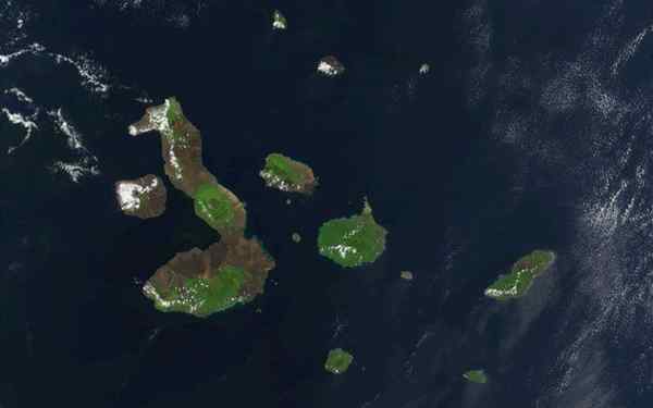 Prodotti delle Isole Galapagos