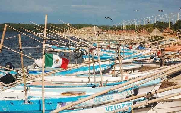 Natuurlijke hulpbronnen van Campeche