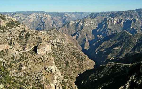 Sumber Daya Alam dari Chihuahua