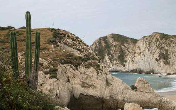 Ressources naturelles de Michoacán