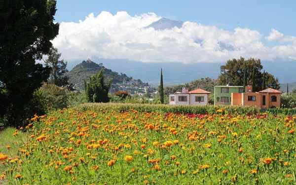 Naturressurser fra Puebla