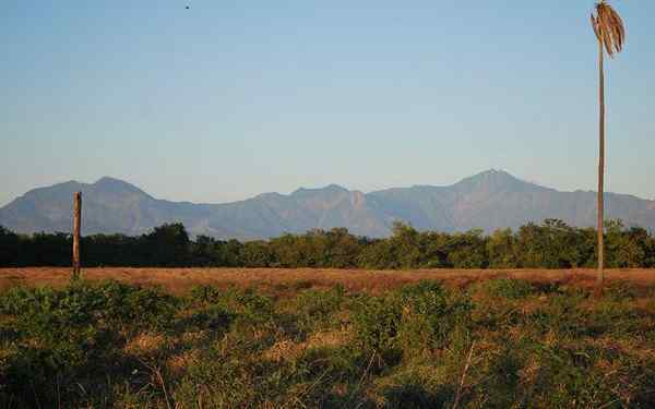 Alívio de chiapas